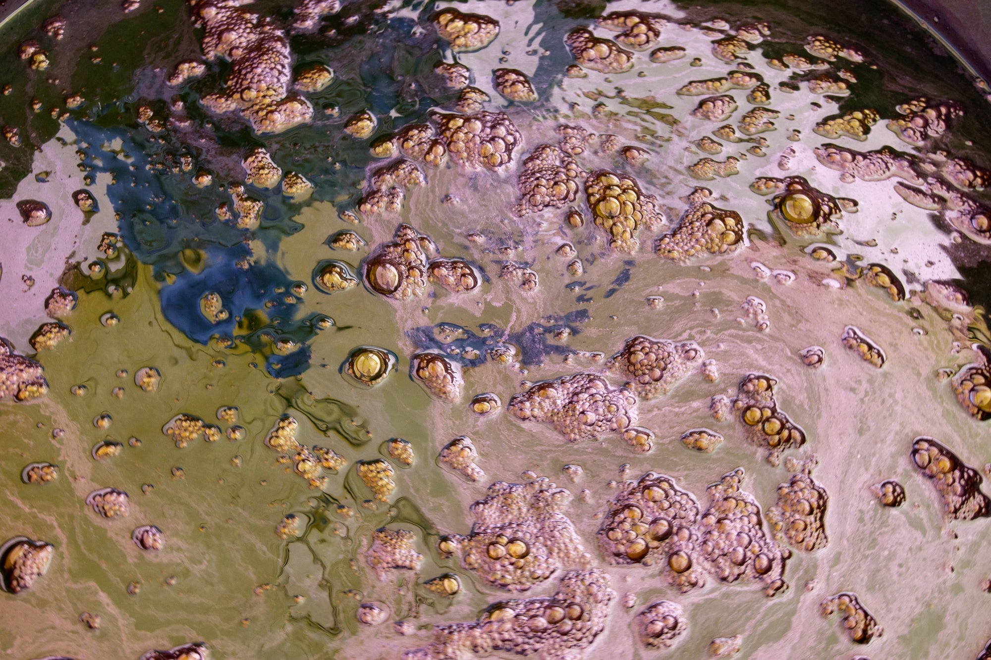 Tie-Dyeing Away the Summertime Blues