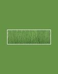 fern green