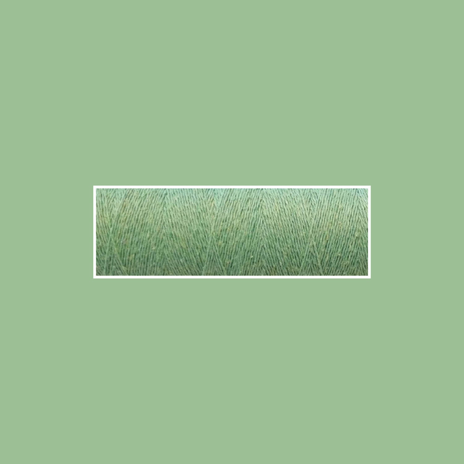 Venne Eco Jeans 12/2