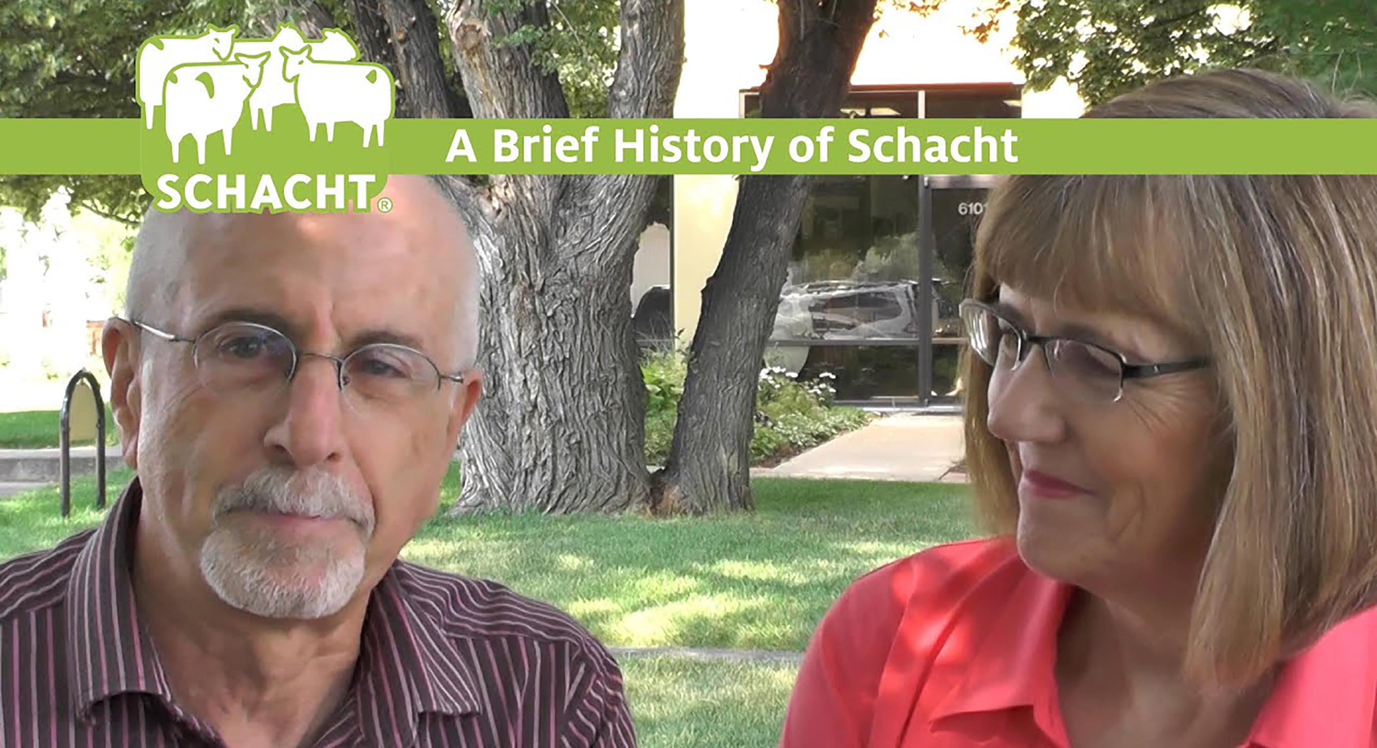 Brief History of Schacht