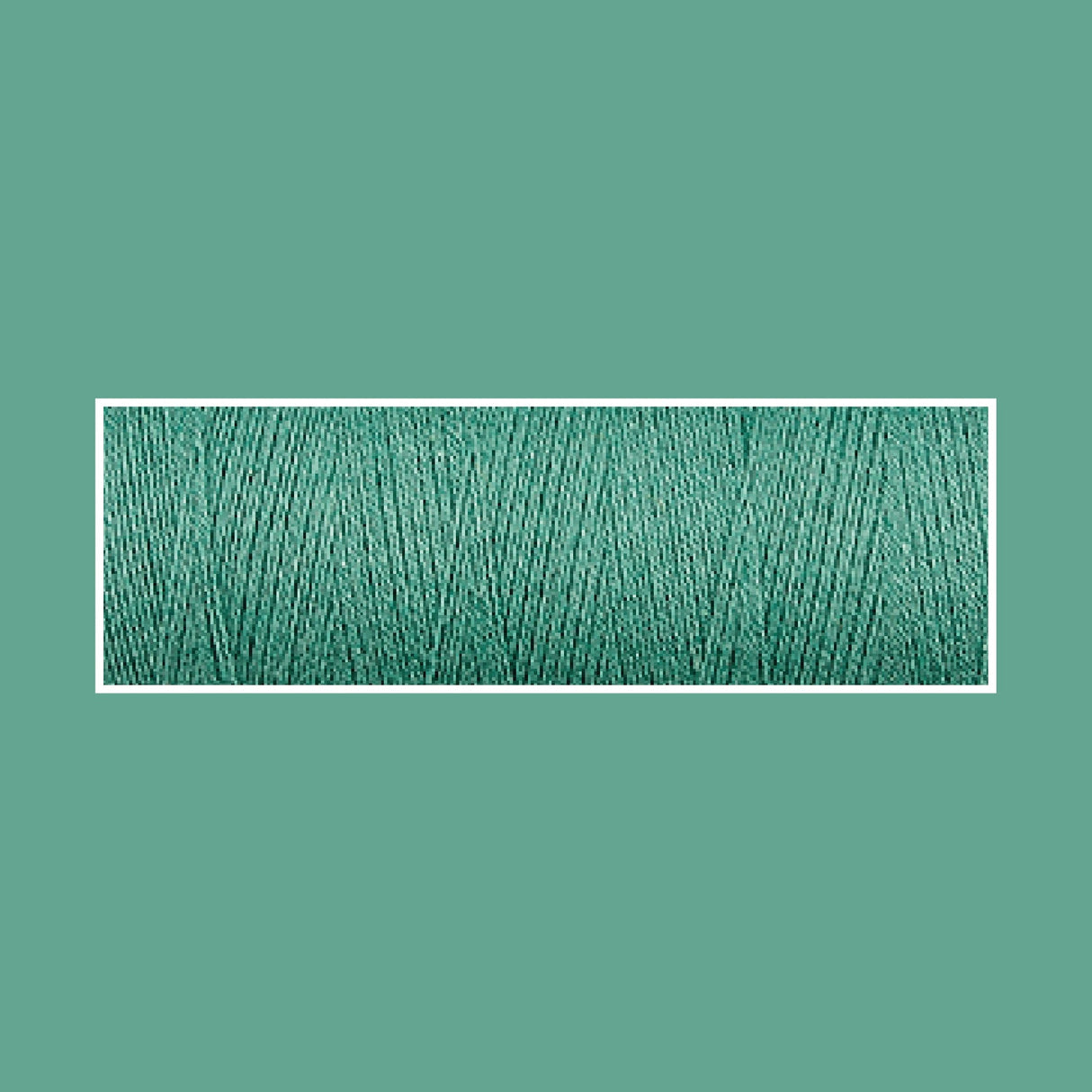 SHAMROCK 5039