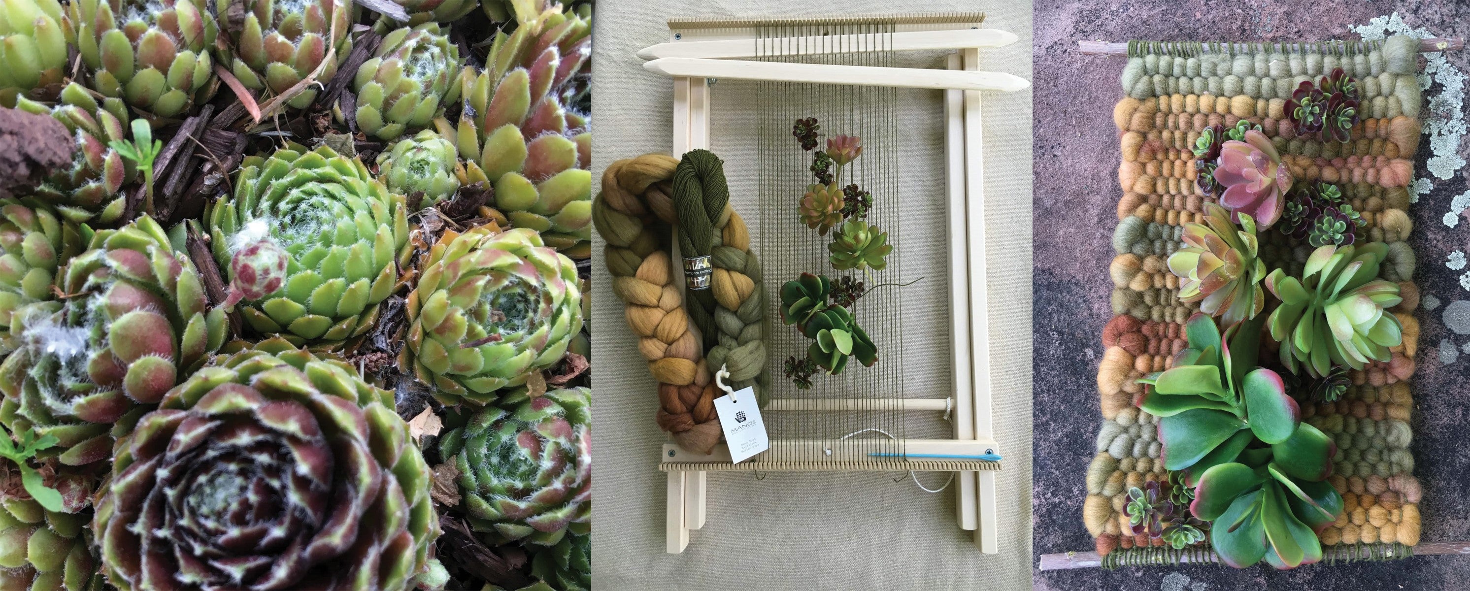 Weaving With Succulents