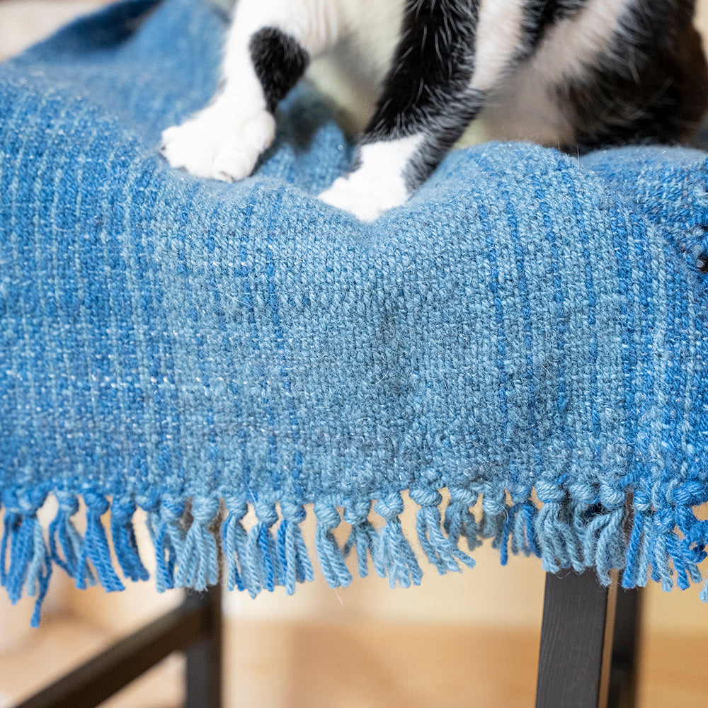 Inspired to Weave: 4-Shaft Project Collection – Schacht Spindle