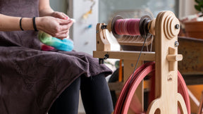 Ladybug Spinning Wheel
