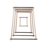 Lisa Looms