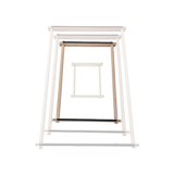 Lisa Looms