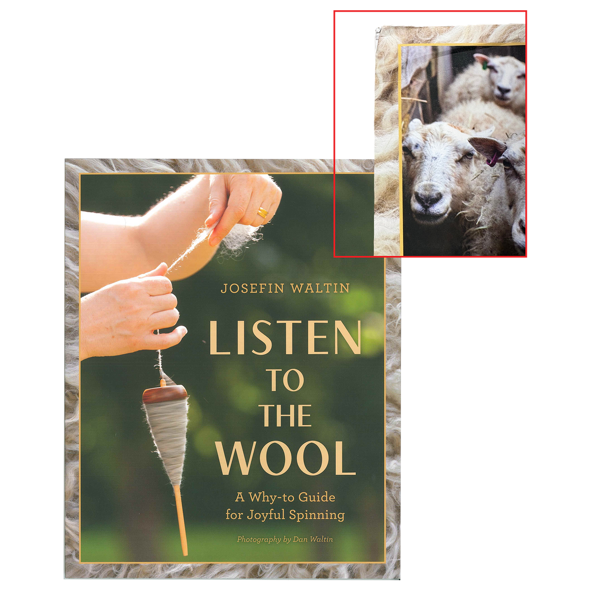 Listen to the Wool