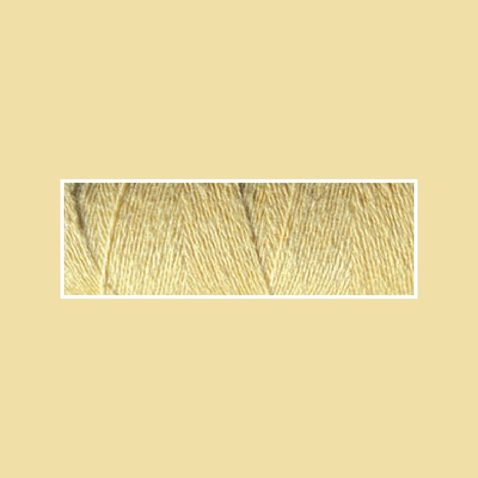 cornsilk 1021