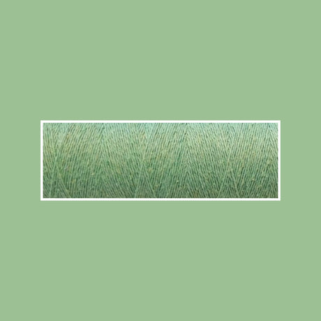 primavera 5028