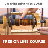 Start Spinning on Ladybug Bundle