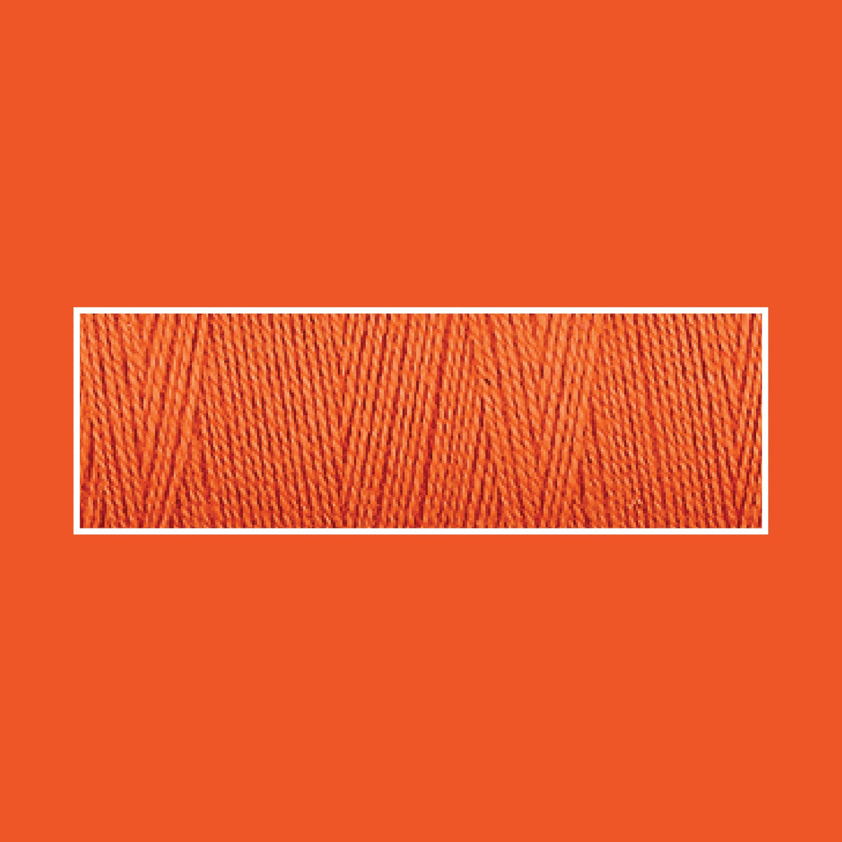 ORANGE 2009