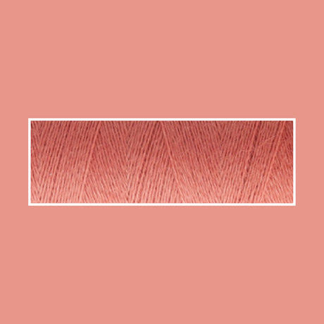 TERRACOTTA 3010