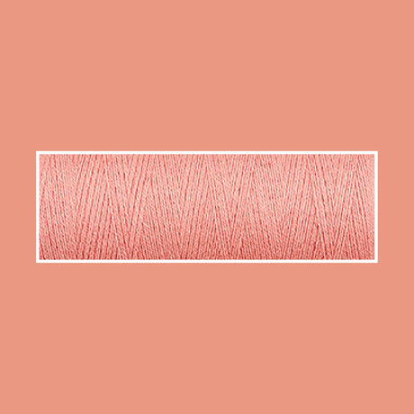 APRICOT 3026