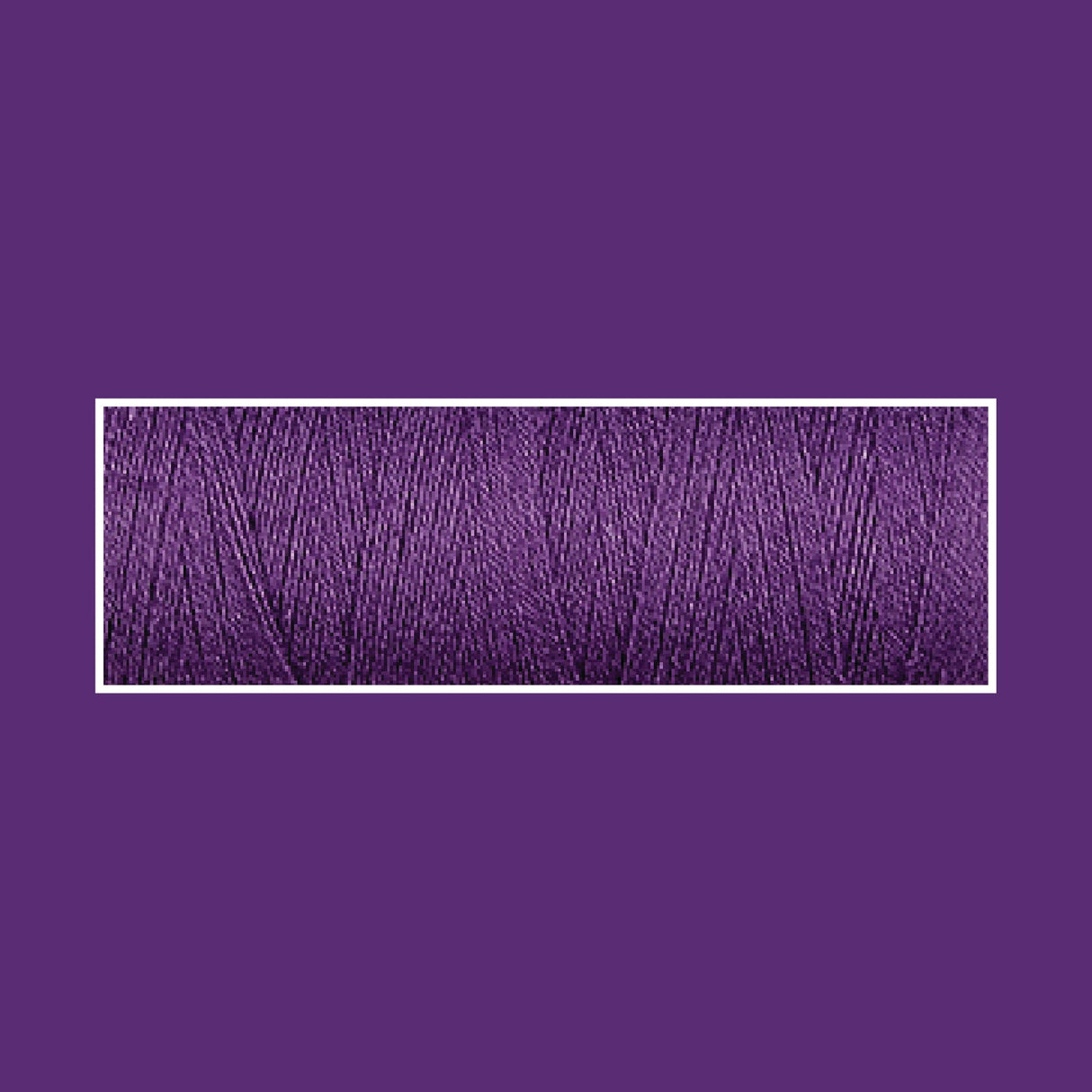 VIOLET 4024