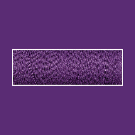 VIOLET 4024