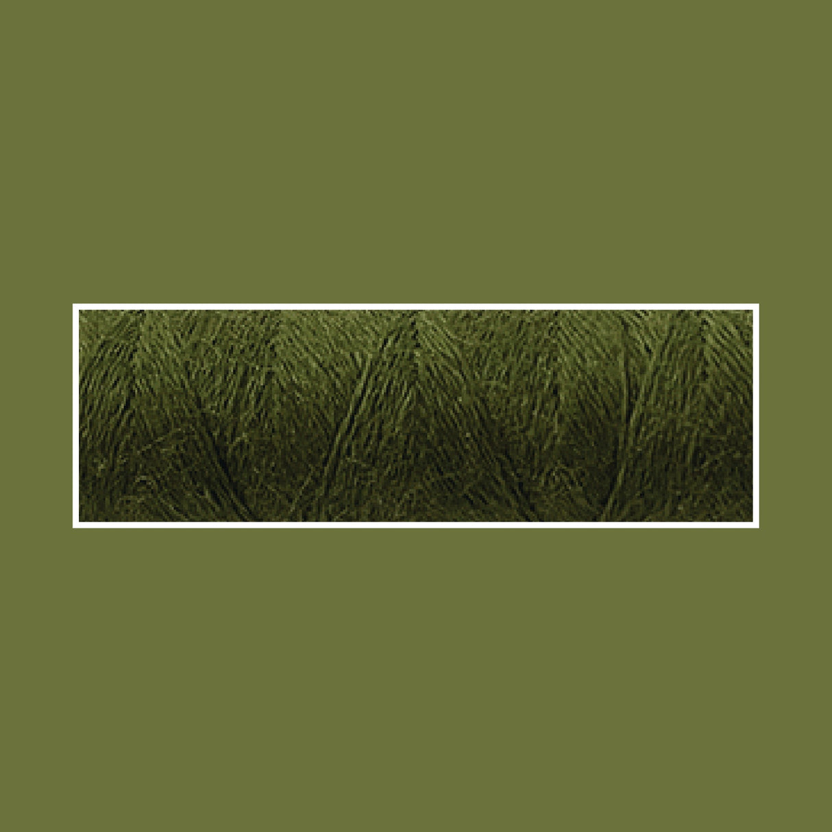 OLIVE 5056